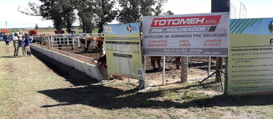 Totomeh Hormigones pre moldeados